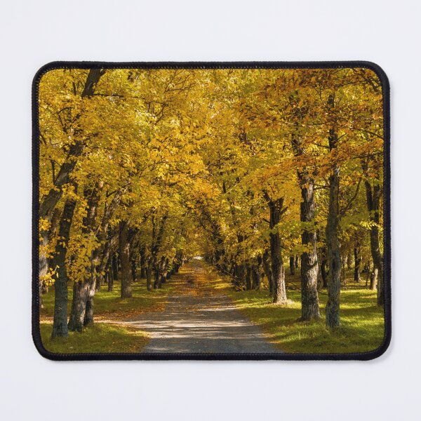 Item preview, Deta Forest Lane designed and sold by DiFigianoPhoto.