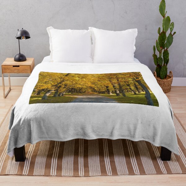 Item preview, Deta Forest Lane designed and sold by DiFigianoPhoto.