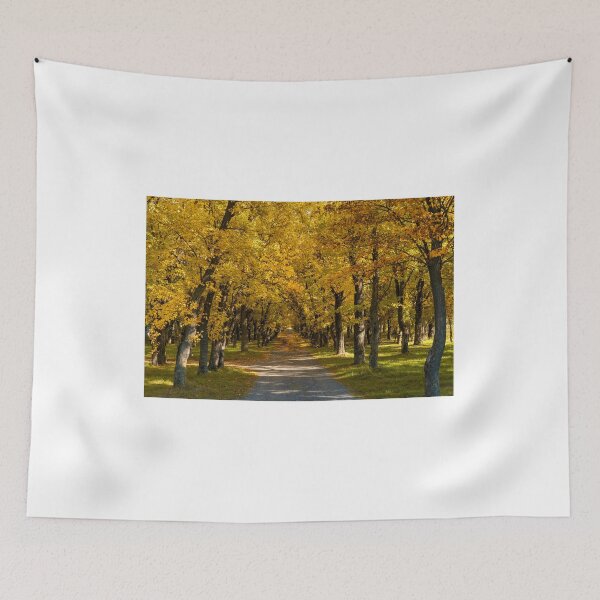 Item preview, Deta Forest Lane designed and sold by DiFigianoPhoto.