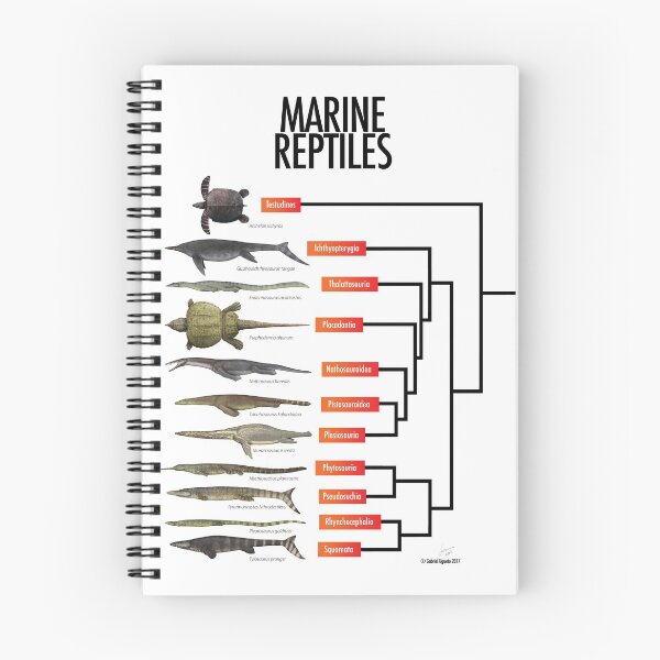 Item preview, Marine Reptiles designed and sold by SerpenIllus.