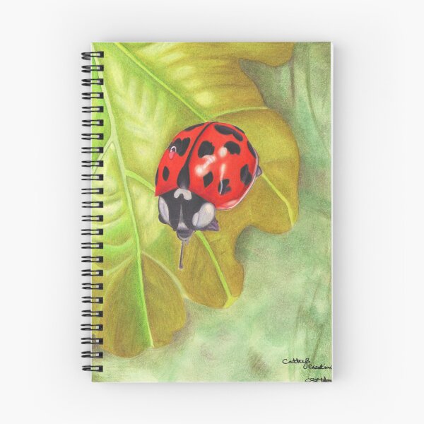 Item preview, A Ladybird designed and sold by cathyscreations.