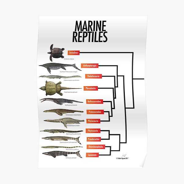 Marine Reptiles Poster