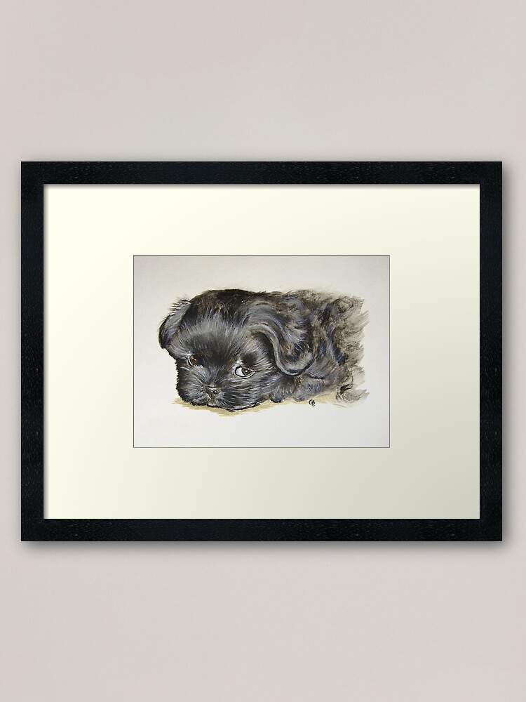 Alternate view of Black Shih Tzu Puppy Framed Art Print