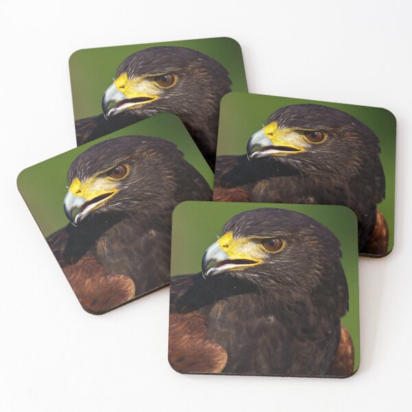Item preview, Close up of a Harris Hawk designed and sold by ChloePorter17.