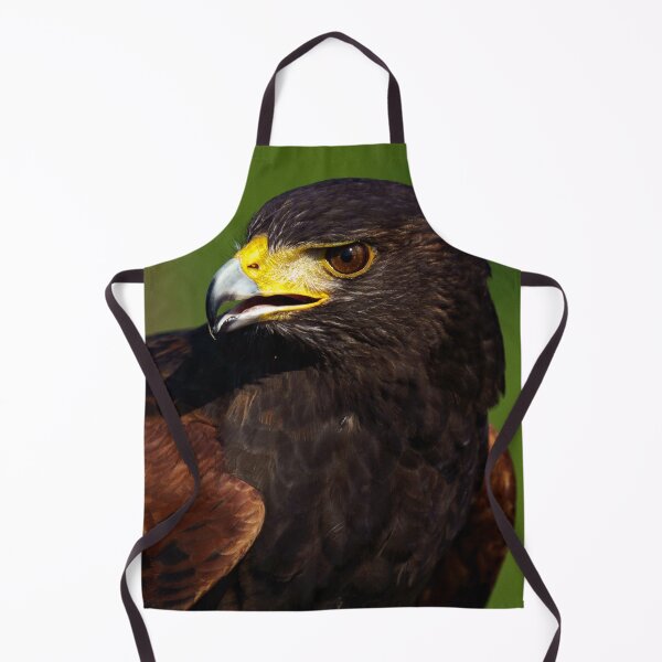 Item preview, Close up of a Harris Hawk designed and sold by ChloePorter17.