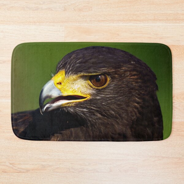 Item preview, Close up of a Harris Hawk designed and sold by ChloePorter17.