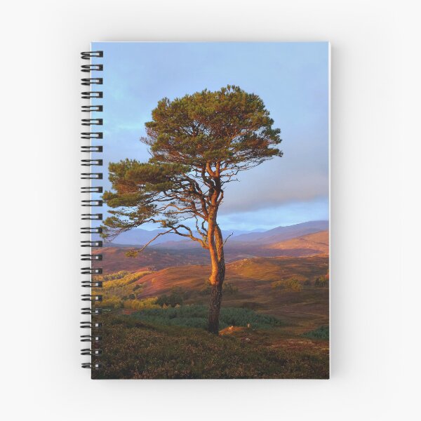 Item preview, Strathglass designed and sold by Macrae images.
