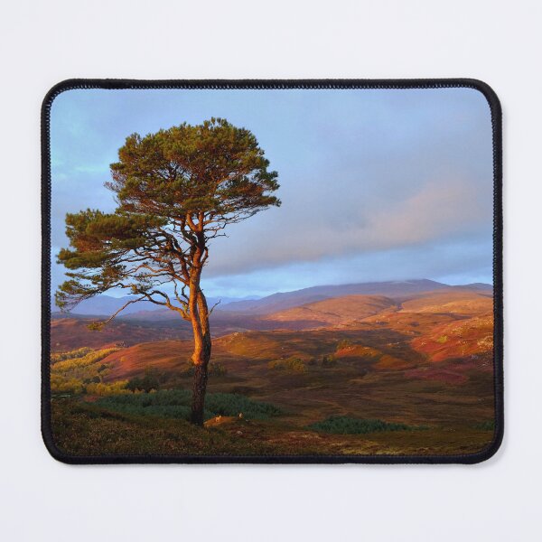 Item preview, Strathglass designed and sold by Macrae images.