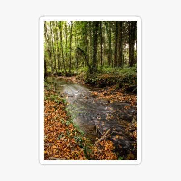 Autumnal Stream Sticker