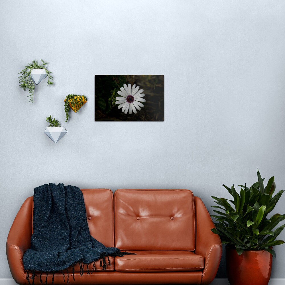 Light from the dark Metal Print