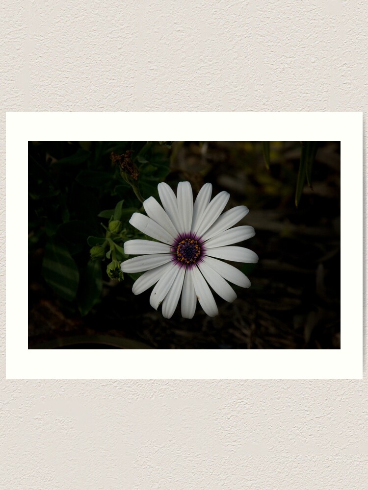 Alternate view of Light from the dark Art Print