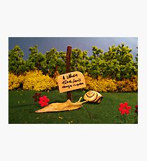 Le logement Photographic Print