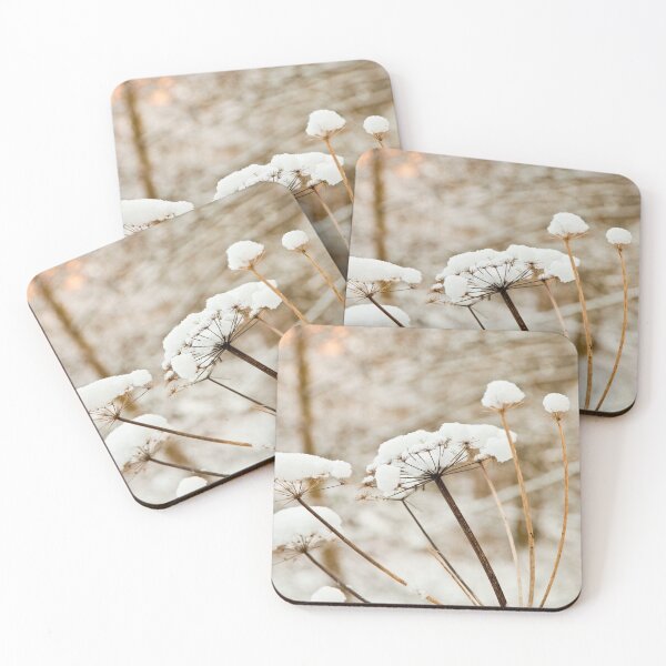 Item preview, Snow Parsley designed and sold by Dalyndigital Photography.