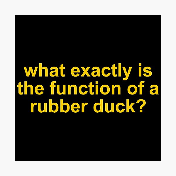 "What exactly is the function of a rubber duck?" Photographic Print for