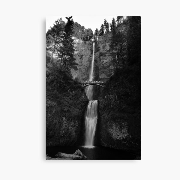 Falling for Portland Canvas Print