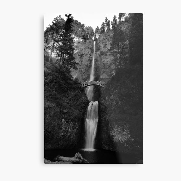 Falling for Portland Metal Print