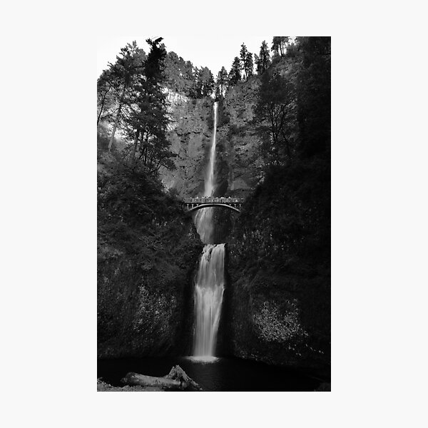 Falling for Portland Photographic Print