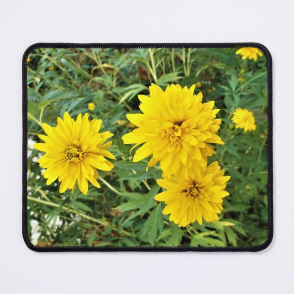 Item preview, Grandma's Yellow Coreopsis designed and sold by Scott and Mary Schneider art_photography.