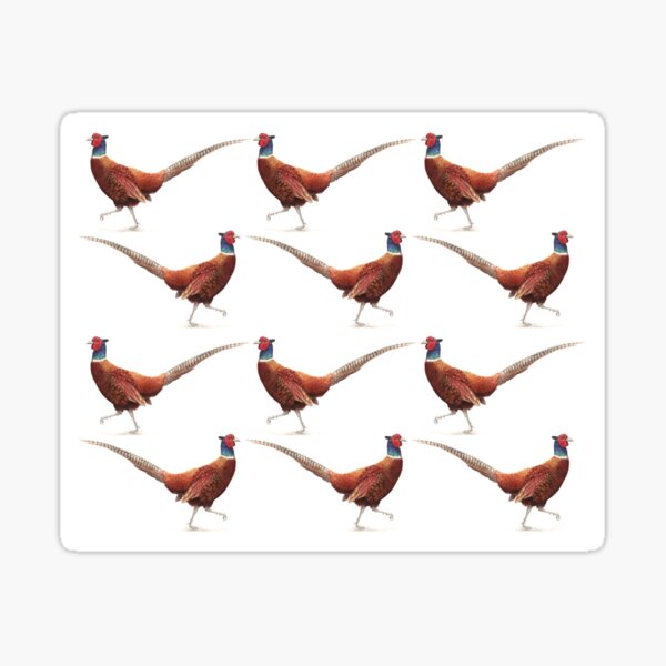Walk the Walk - Strutting Pheasant Sticker