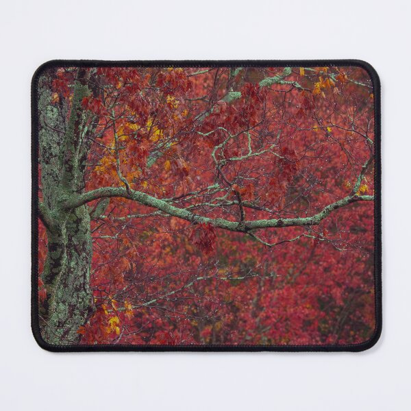 Item preview, Autumn Reds designed and sold by HectorCantres.