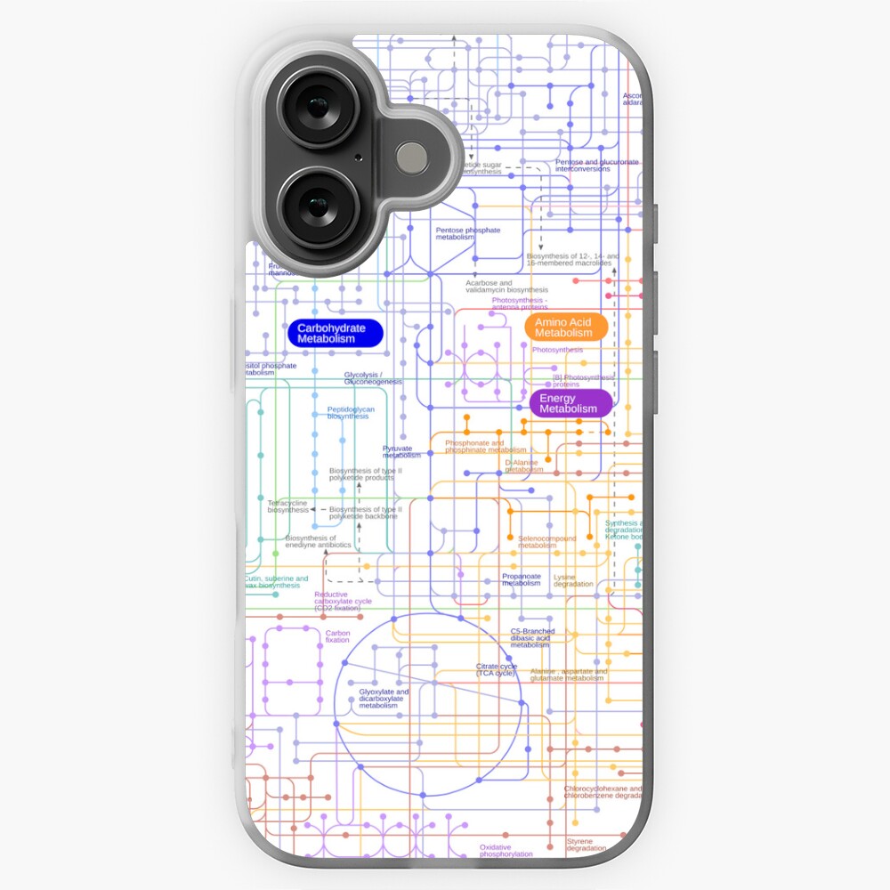 Metabolic pathway map | Poster
