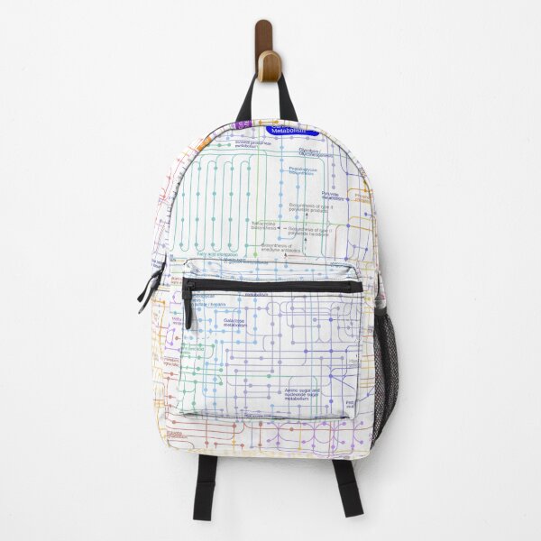 Item preview, Metabolic pathway map designed and sold by Science Store.