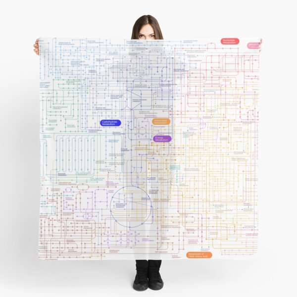 Item preview, Metabolic pathway map designed and sold by Science Store.