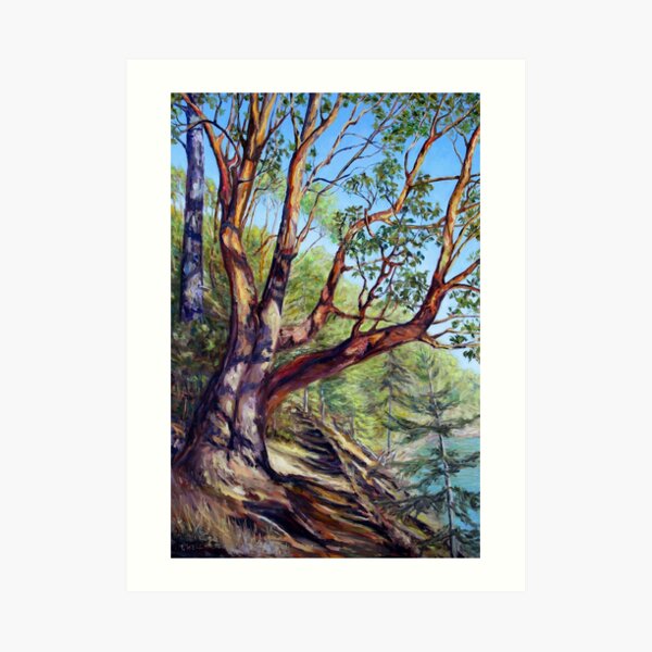 Storytelling Arbutus Tree Bennett Bay Mayne Island BC Art Print