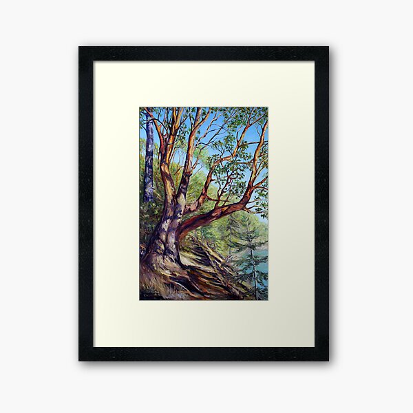 Storytelling Arbutus Tree Bennett Bay Mayne Island BC Framed Art Print