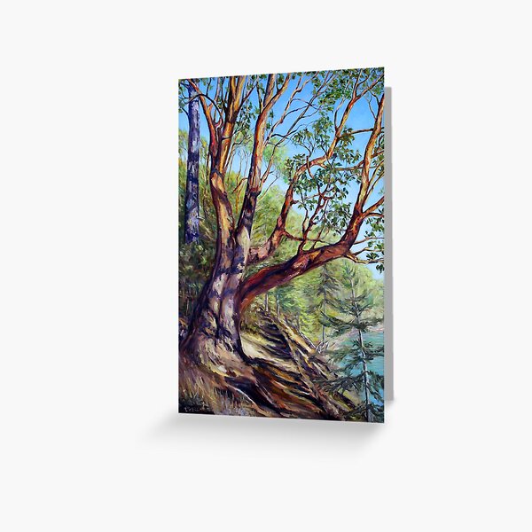 Storytelling Arbutus Tree Bennett Bay Mayne Island BC Greeting Card