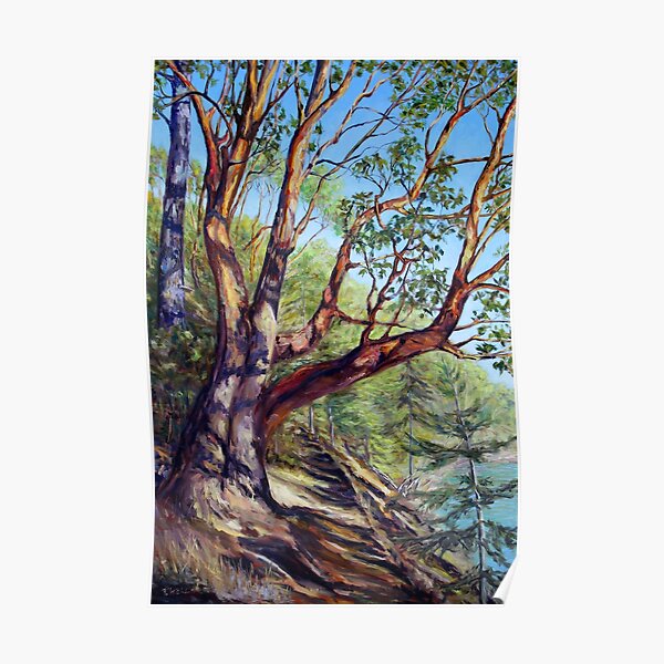 Storytelling Arbutus Tree Bennett Bay Mayne Island BC Poster