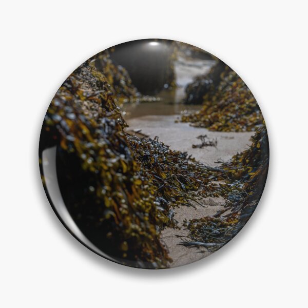 Item preview, seagrass gorge designed and sold by OskiOnTour.