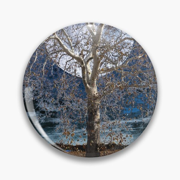 Item preview, Sycamore Tree Under a Blue Moon designed and sold by The Elderberry Blossom.