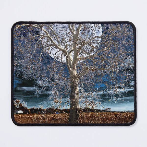 Item preview, Sycamore Tree Under a Blue Moon designed and sold by The Elderberry Blossom.