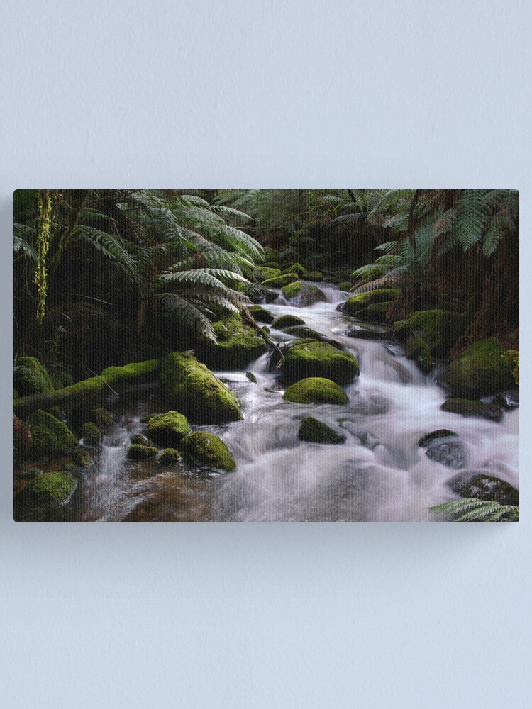 Alternate view of Taggerty River Canvas Print