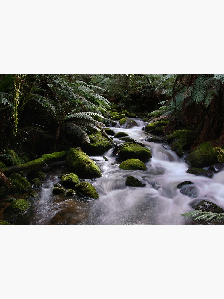 Taggerty River by alexsupertramp