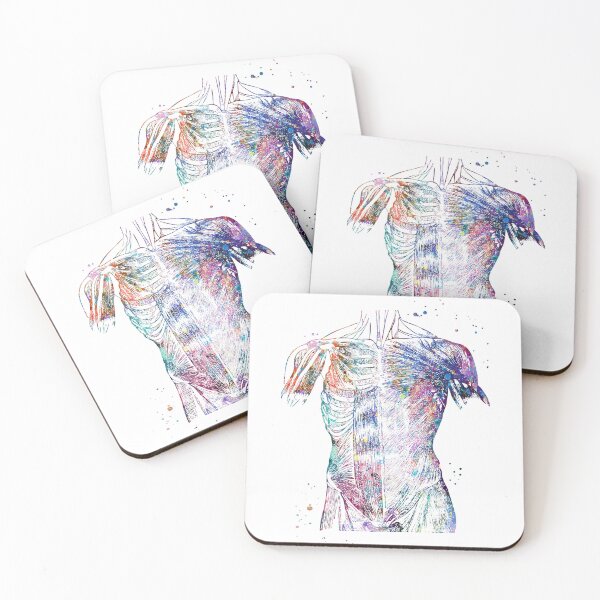 Item preview, Torso Muscular System designed and sold by EvasDreams.