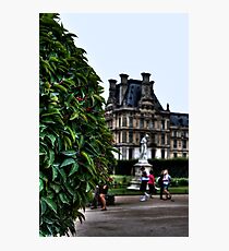Shrub Photographic Print