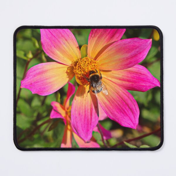 Item preview, Busy Bee designed and sold by SJHorsfall.