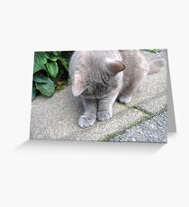 Playful Greeting Card