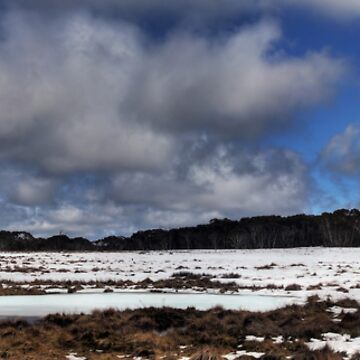 Artwork thumbnail, Snow Melt by Raquel O'Neill
