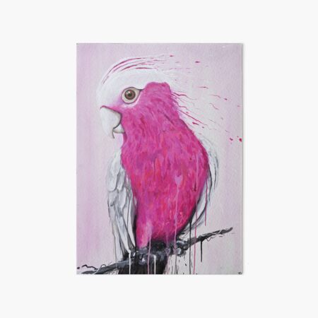 Bird Series - Pink Galah Art Board Print