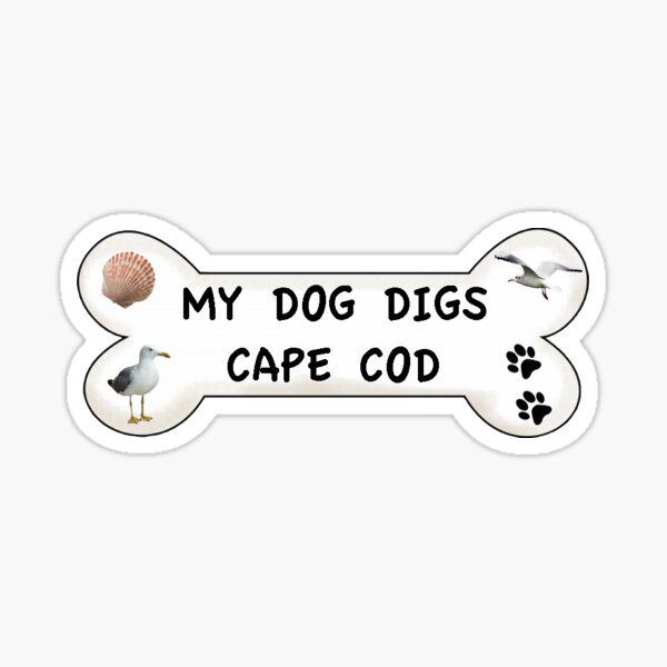 "My Dog Digs Cape Cod" Sticker for Sale by litmusician Redbubble