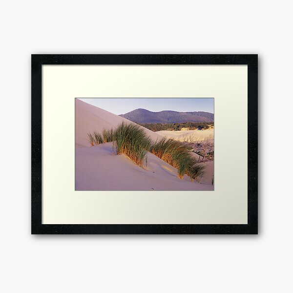 Item preview, Grass on Dunes designed and sold by Travis Easton.