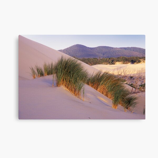 Item preview, Grass on Dunes designed and sold by Travis Easton.
