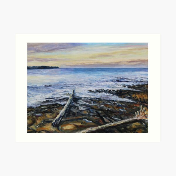 Winter Late Afternoon Georgina Point Mayne Island BC Art Print
