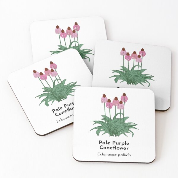 Item preview, Pale Purple Coneflower (Echinacea pallida) designed and sold by Bittersweet Gardener.