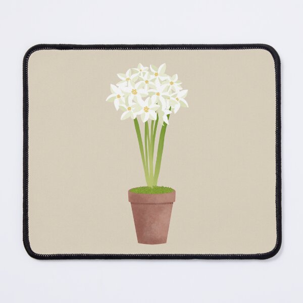 Item preview, Pot of Paperwhites - Beige designed and sold by marieofroumania.