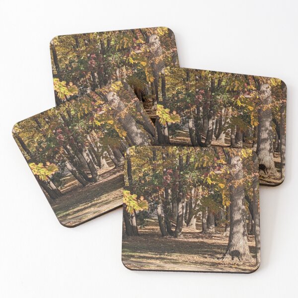 Item preview, Forest on a Autumn Day designed and sold by UPNortheren.