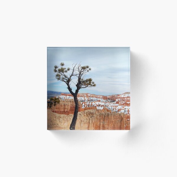 Living on the Edge Acrylic Block